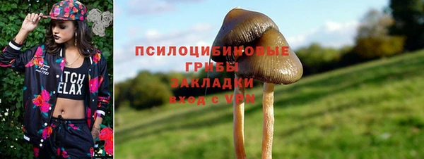 ПСИЛОЦИБИНОВЫЕ ГРИБЫ Алзамай