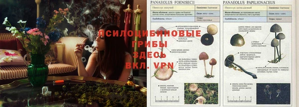 синтетический гашиш Алексин