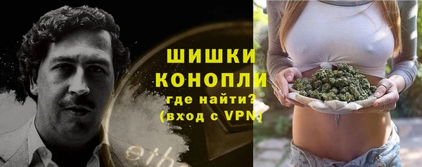 ПСИЛОЦИБИНОВЫЕ ГРИБЫ Алзамай