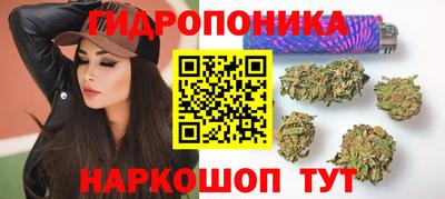 шишки Коломна