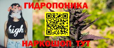 шишки Коломна