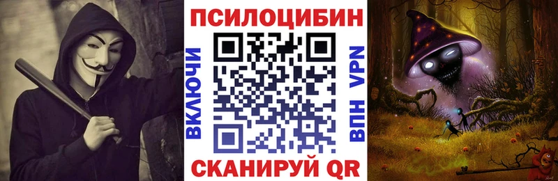 купить Карасук Псилоцибиновые грибы Cubensis