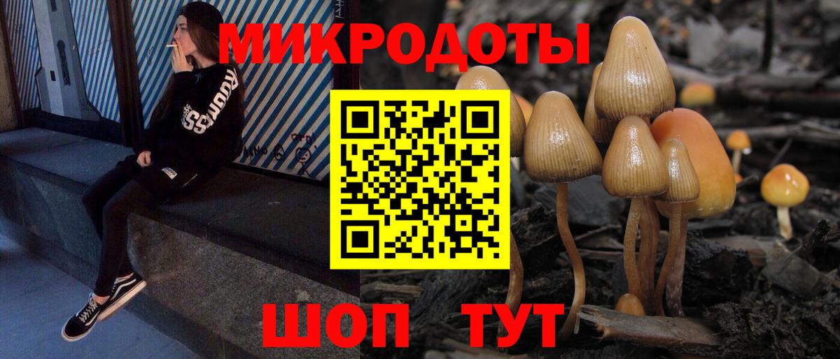 Галлюциногенные грибы Cubensis Карасук