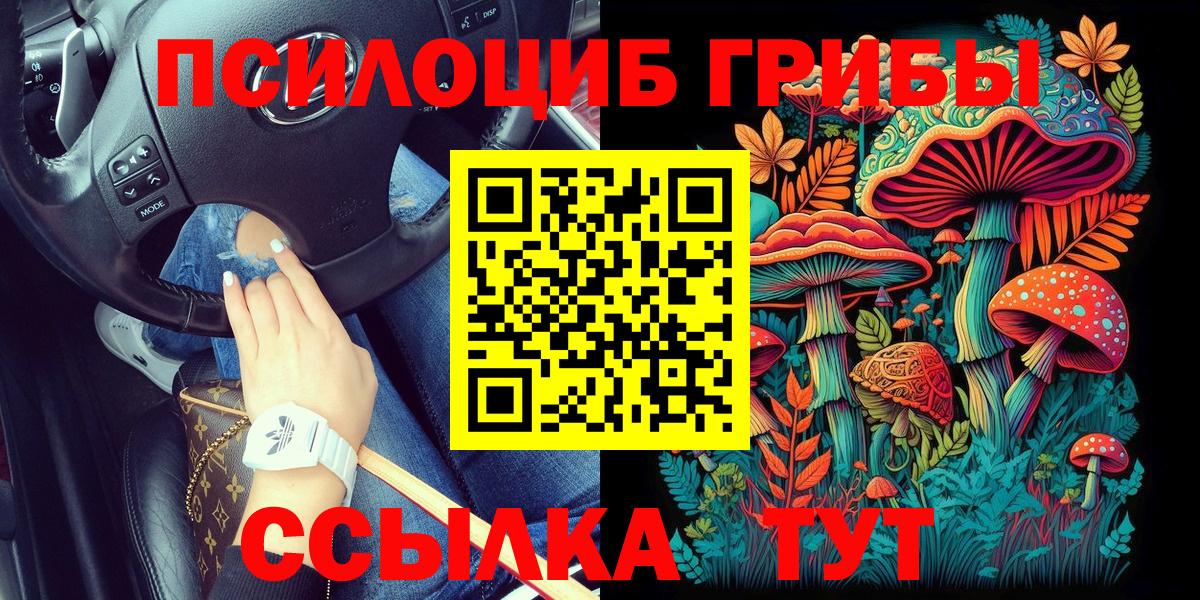 Псилоцибиновые грибы MAGIC MUSHROOMS  купить наркотики цена  Галлюциногенные грибы прущие грибы  Карасук  Вход с VPN 